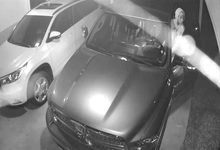  Auto Burglary Suspects