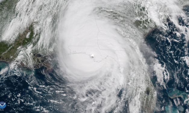 Florence and Michael retired by the World Meteorological Organization