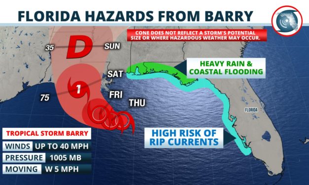 Tropical Storm Barry forms in the Gulf of Mexico