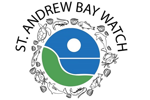 St. Andrew Bay Watch Looking for Volunteers