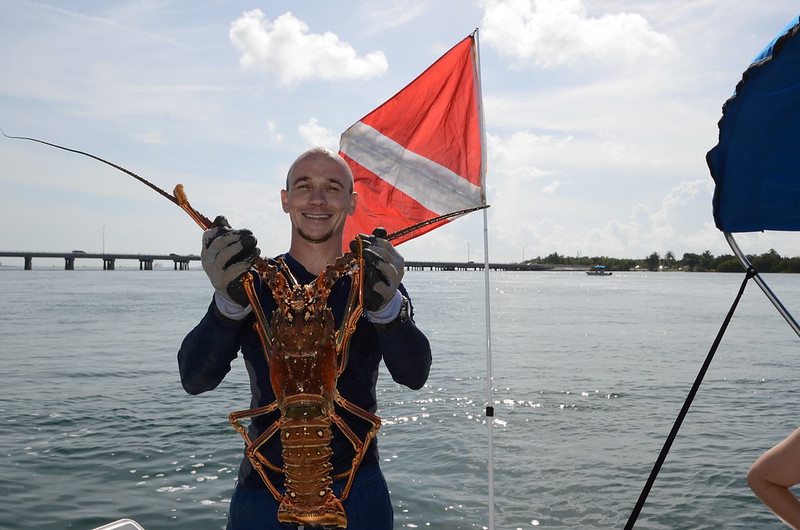 Get Ready for the Exciting 2023 Spiny Lobster Season in Florida