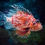 Join the Lionfish Hunt!