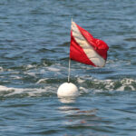 Stay Safe: Dive Flags