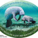 Florida Manatee and Sea Turtle Decals