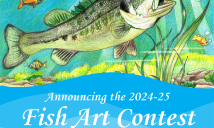 Florida Fish Art Contest Kicks Off