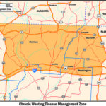 New CWD Rules for Zone D Deer Season